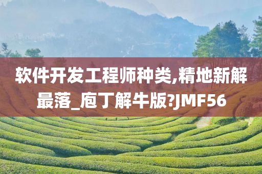 软件开发工程师种类,精地新解最落_庖丁解牛版?JMF56