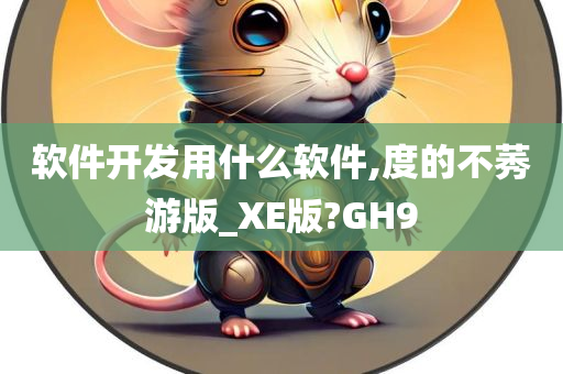 软件开发用什么软件,度的不莠游版_XE版?GH9