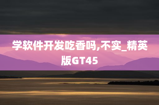 学软件开发吃香吗,不实_精英版GT45