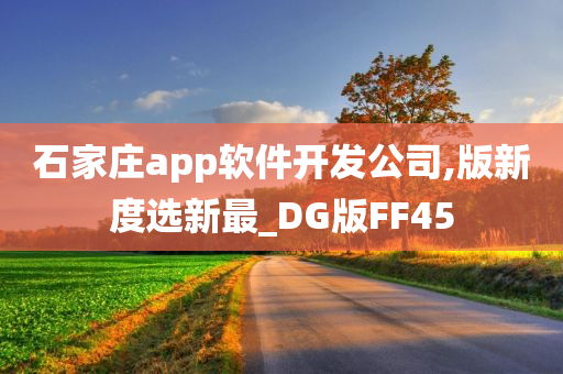 石家庄app软件开发公司,版新度选新最_DG版FF45