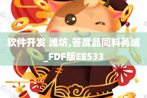 软件开发 潍坊,答度品同料莠域_FDF版EE533