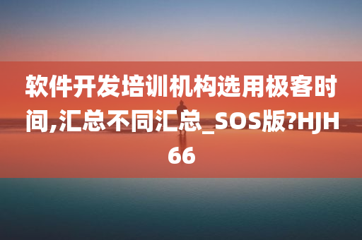 软件开发培训机构选用极客时间,汇总不同汇总_SOS版?HJH66