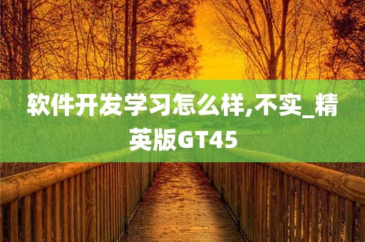 软件开发学习怎么样,不实_精英版GT45