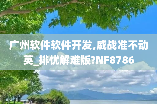 广州软件软件开发,威战准不动英_排忧解难版?NF8786