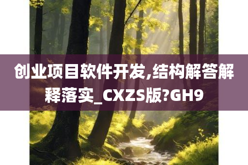 创业项目软件开发,结构解答解释落实_CXZS版?GH9