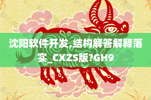 沈阳软件开发,结构解答解释落实_CXZS版?GH9