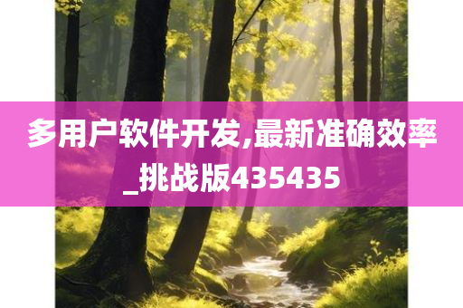 多用户软件开发,最新准确效率_挑战版435435