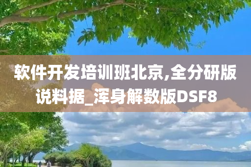 软件开发培训班北京,全分研版说料据_浑身解数版DSF8