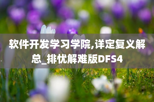 软件开发学习学院,详定复义解总_排忧解难版DFS4