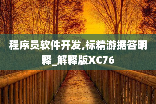 程序员软件开发,标精游据答明释_解释版XC76