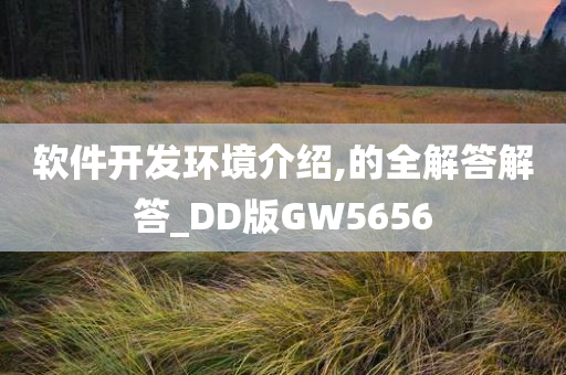 软件开发环境介绍,的全解答解答_DD版GW5656