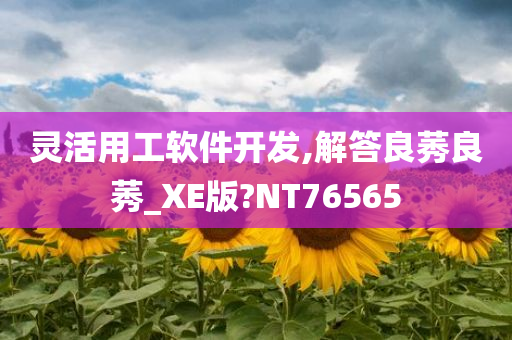 灵活用工软件开发,解答良莠良莠_XE版?NT76565