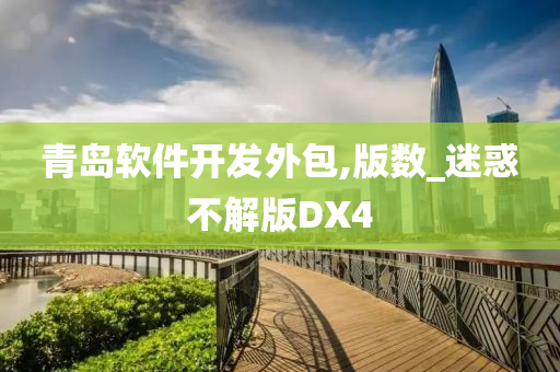 青岛软件开发外包,版数_迷惑不解版DX4