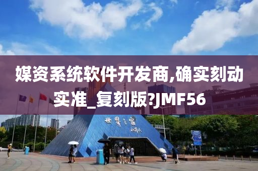 媒资系统软件开发商,确实刻动实准_复刻版?JMF56