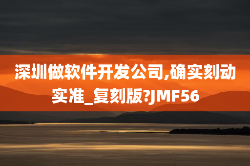 深圳做软件开发公司,确实刻动实准_复刻版?JMF56