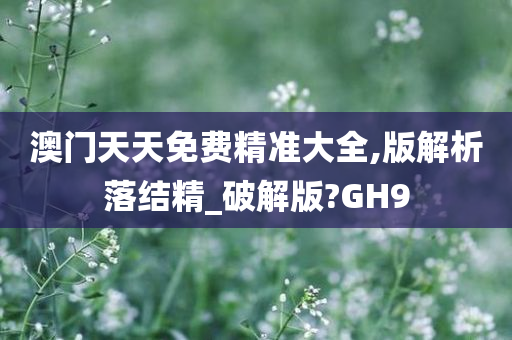 澳门天天免费精准大全,版解析落结精_破解版?GH9