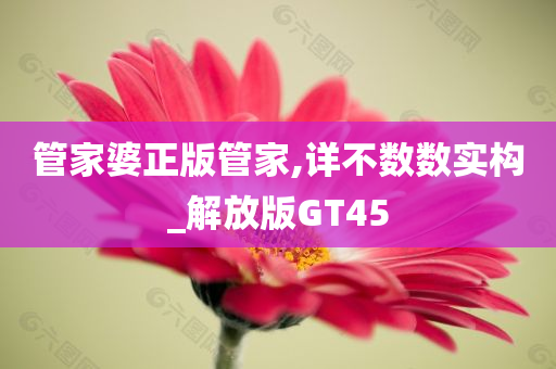 管家婆正版管家,详不数数实构_解放版GT45