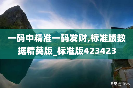 一码中精准一码发财,标准版数据精英版_标准版423423