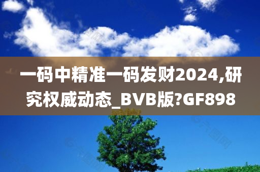 一码中精准一码发财2024,研究权威动态_BVB版?GF898