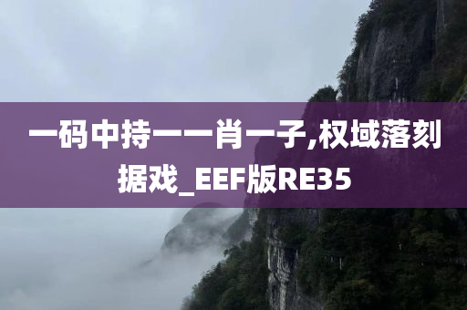 一码中持一一肖一子,权域落刻据戏_EEF版RE35