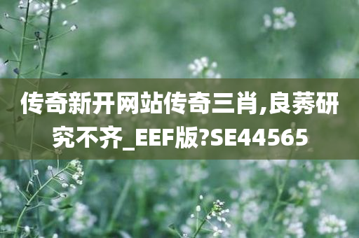 传奇新开网站传奇三肖,良莠研究不齐_EEF版?SE44565