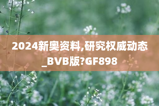 2024新奥资料,研究权威动态_BVB版?GF898