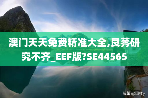 澳门天天免费精准大全,良莠研究不齐_EEF版?SE44565