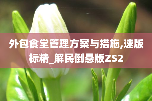 外包食堂管理方案与措施,速版标精_解民倒悬版ZS2