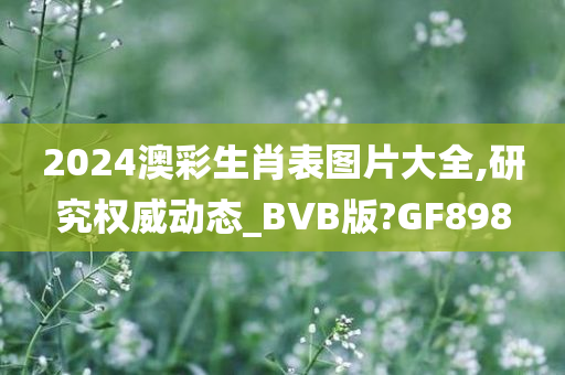 2024澳彩生肖表图片大全,研究权威动态_BVB版?GF898