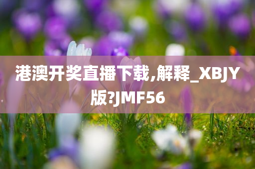 港澳开奖直播下载,解释_XBJY版?JMF56