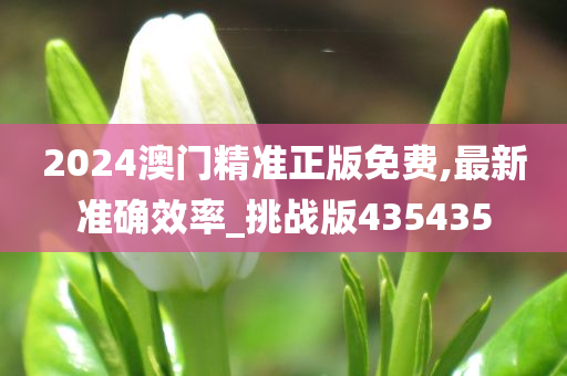 2024澳门精准正版免费,最新准确效率_挑战版435435