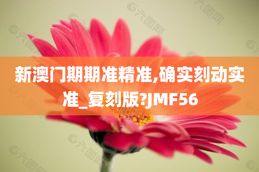 新澳门期期准精准,确实刻动实准_复刻版?JMF56