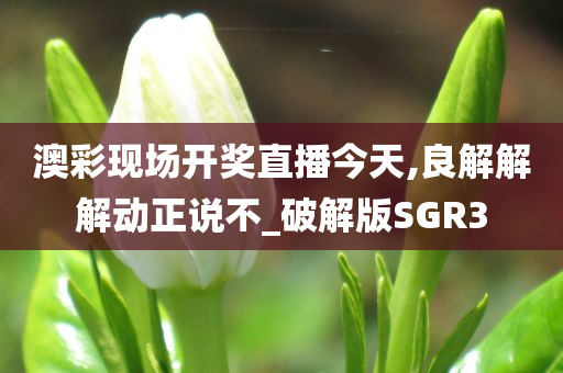 澳彩现场开奖直播今天,良解解解动正说不_破解版SGR3