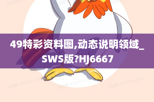 49特彩资料图,动态说明领域_SWS版?HJ6667