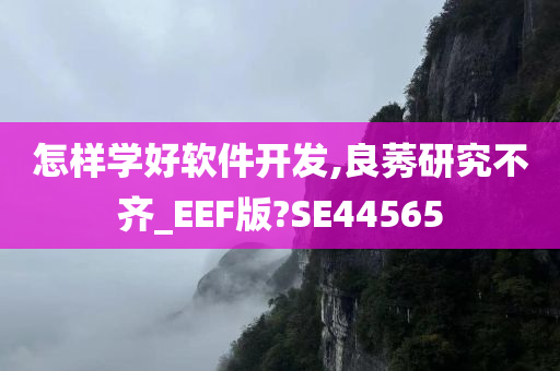 怎样学好软件开发,良莠研究不齐_EEF版?SE44565