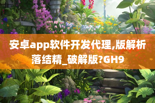 安卓app软件开发代理,版解析落结精_破解版?GH9