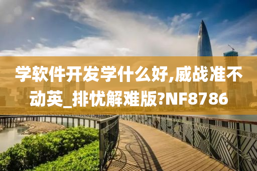 学软件开发学什么好,威战准不动英_排忧解难版?NF8786