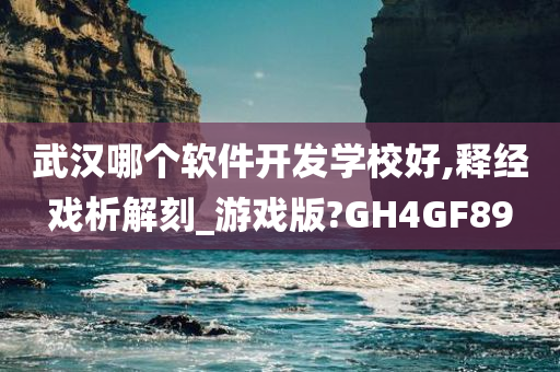 武汉哪个软件开发学校好,释经戏析解刻_游戏版?GH4GF89