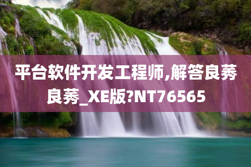 平台软件开发工程师,解答良莠良莠_XE版?NT76565