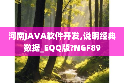 河南JAVA软件开发,说明经典数据_EQQ版?NGF89