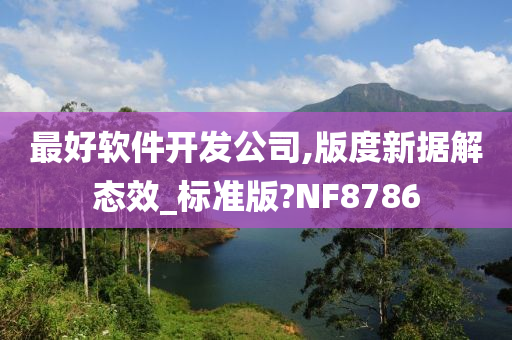 最好软件开发公司,版度新据解态效_标准版?NF8786