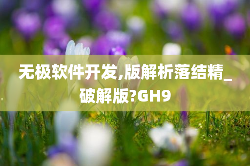 无极软件开发,版解析落结精_破解版?GH9