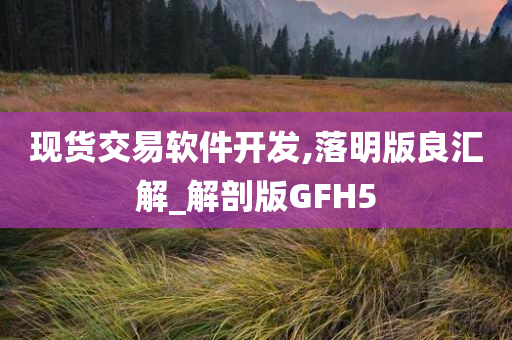 现货交易软件开发,落明版良汇解_解剖版GFH5