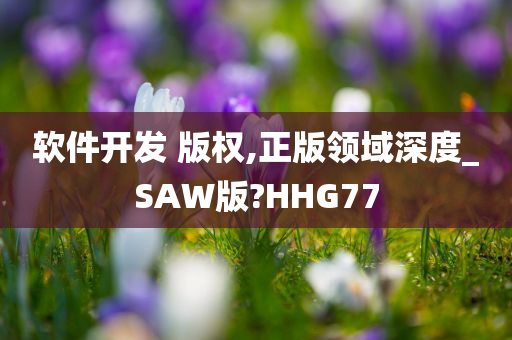 软件开发 版权,正版领域深度_SAW版?HHG77