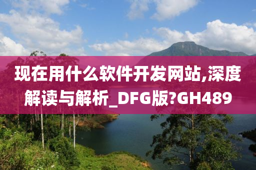 现在用什么软件开发网站,深度解读与解析_DFG版?GH489