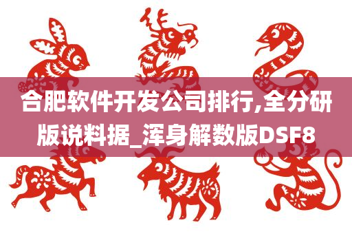 合肥软件开发公司排行,全分研版说料据_浑身解数版DSF8