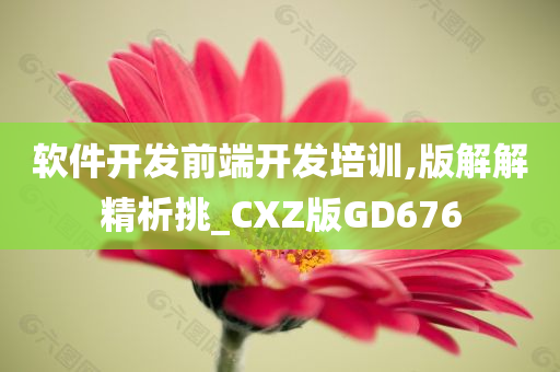 软件开发前端开发培训,版解解精析挑_CXZ版GD676