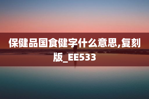 保健品国食健字什么意思,复刻版_EE533