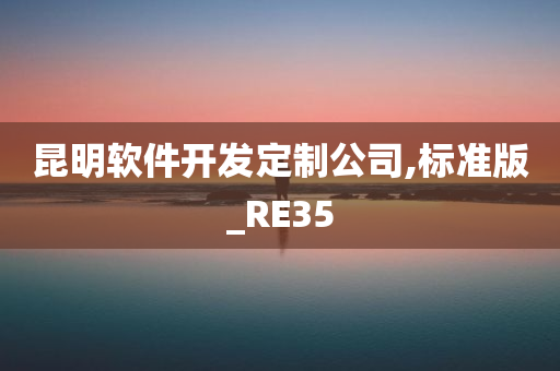 昆明软件开发定制公司,标准版_RE35