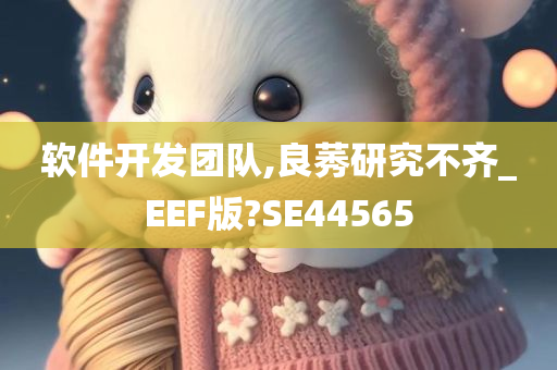 软件开发团队,良莠研究不齐_EEF版?SE44565